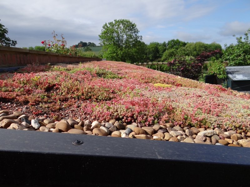 Garden Cottage & Walled Kitchen Garden